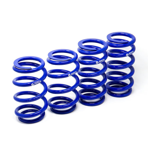 LIFE110 A110R Spring Kit