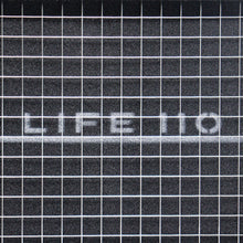 Charger l&#39;image dans la galerie, LIFE110 Performance Panel Filter